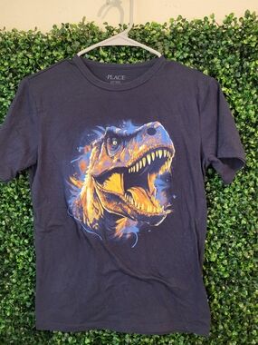 Boys Blue Tee with Orange and Blue Dinosaur